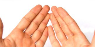 Verwendung und Wirkung der Inhaltsstoffe Anwendungen und Wirkungen von Sanddorn