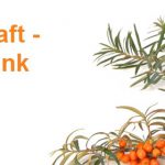 Sanddornsaft / Sanddorn-Muttersaft