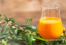 Bio-Sanddornsaft – So verwenden Sie Sanddornsaft pur Bio-Sanddorn-Ursaft direkt vom Erzeuger
