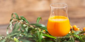 Bio-Sanddornsaft – So verwenden Sie Sanddornsaft pur Bio-Sanddorn-Ursaft direkt vom Erzeuger