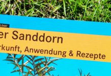 Buchtipp: Der Sanddorn - Herkunft, Anwendung & Rezepte