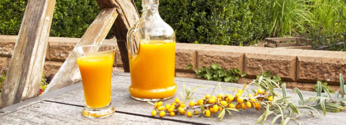 Sanddornsaft als wertvolle Vitamin C-Quelle