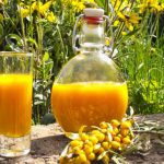 Sanddornsaft – Was ihn so wertvollmacht