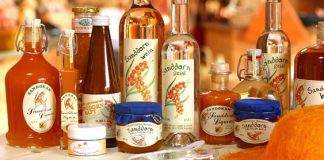 Sanddorn-Shop.com gestartet: Der Sanddorn-Hofladen im Internet Sanddornsaft u. andere Sanddorn-Produkte kaufen