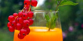 Schnell fertig & lecker: der Sanddorn-Erfrischungsdrink Bio-Sanddornsaft mit Mineralwasser als Erfrischungsgetränk