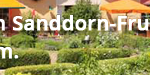sanddorn-frucht-erlebnisgarten-petzow-werder-havel