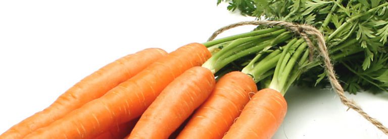 Sanddorn-Karotten-Suppe – schnelles Rezept für einen besonderen Genuss Sanddorn-Karotten-Suppe – schnelles Rezept für einen besonderen Genuss