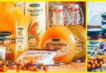 Grüne Woche 2017 in Berlin: Neue Sanddorn-Spezialitäten probieren Sandokan auf der Grünen Woche 2017