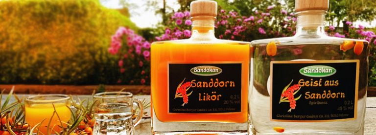 Neue Genüsse: Sanddorn-Likör, Sanddorn-Eierlikör & Geist aus Sanddorn Neue Genüsse: Sanddorn-Likör, Sanddorn-Eierlikör & Geist aus Sanddorn